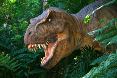 Фотообои динозавр в лесу тираннозавр (animals-0000147)