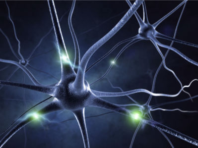 Фотообои нейроны в действии (background-0000263)