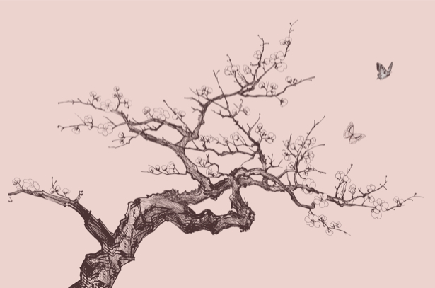 Дерево сакуры фото обои цветы (flowers-0000243)