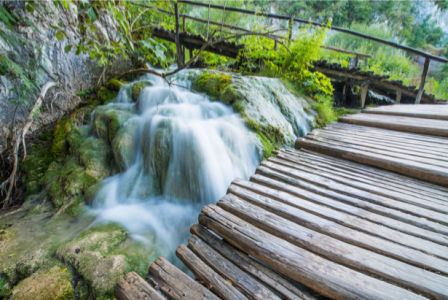 Фотообои мост на реке лес (nature-0000702)