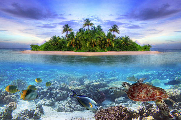 Фотообои море берег остров подводный мир (sea-0000291)