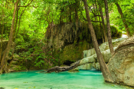 Фотообои водопад в лесу (nature-0000721)