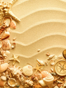 Морские ракушки фотообои на песке (underwater-world-00097)