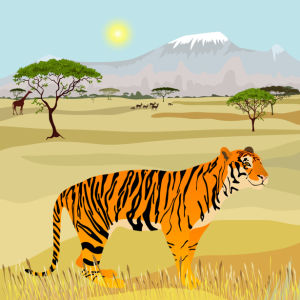 Фотообои тигр рисунок (animals-0000473)