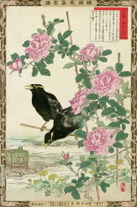 картина птицы и цветы (japanese-chart-8)