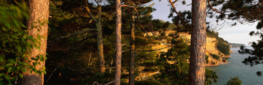 Фотообои речная панорама ель закат (nature-00344)