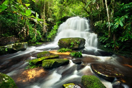 Фотообои горный водопад фото лес (nature-00451)