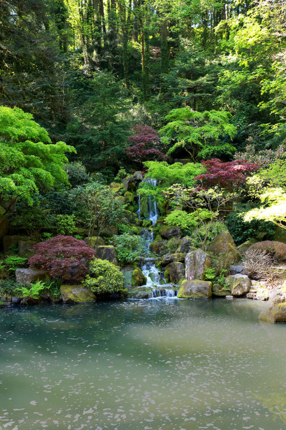 Фотообои Водопад в японском саду (nature-884)