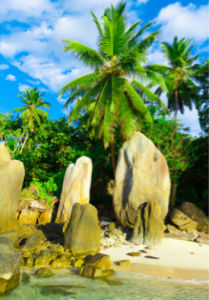 Фото обои море пальмы берег остров (sea-0000016)