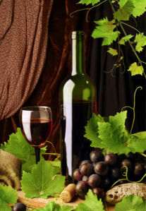 Фотообои фото виноград виная бутылка (still-life-0014)