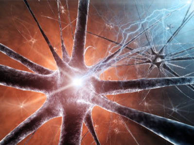 Фотообои нейрон нервные клетки (background-0000266)