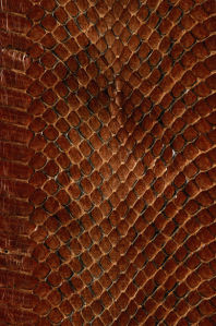 Фотообои текстура змеи (background-0000298)
