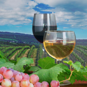Фотообои кухня бокал вина виноградное (food-0000223)
