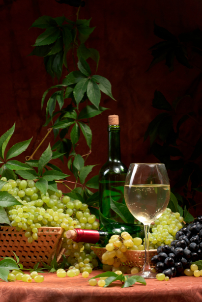 Фотообои вино фото виноград виная бутылка (still-life-0013)