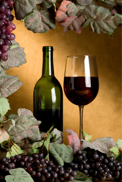 Фотообои виноград с вином (still-life-0040)