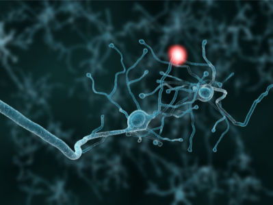 Фотообои нервные клетки медицинский (background-0000268)
