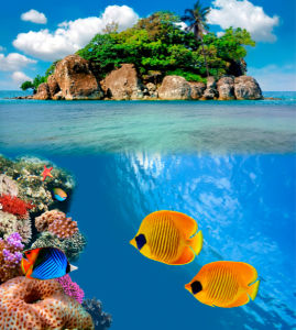 Фотообои - Подводный мир остров (underwater-world-00005)