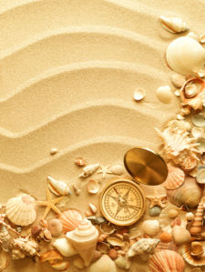 Морские фотообои ракушки на песке (underwater-world-00098)