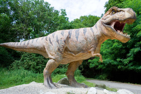 Фотообои тираннозавр голодный (animals-0000148)