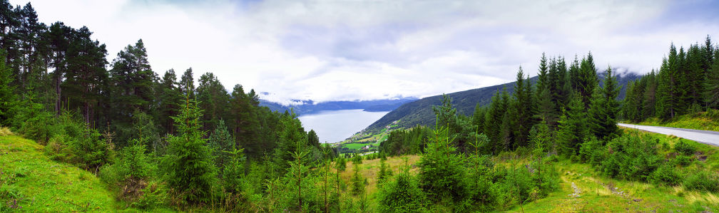 Фотообои панорама природа лес с озером (nature-00503)