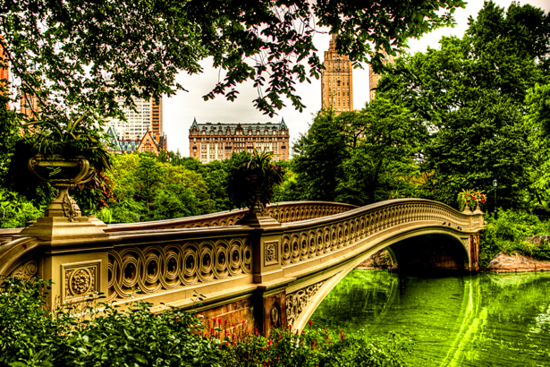 Фотообои мост, Центральный парк, Америка (city-0000127)