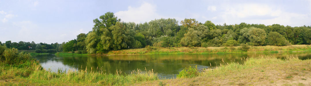 Фотообои лесная панорама с озером (panorama_0000034)