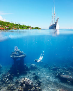 Фотообои море подводный мир (sea-0000289)