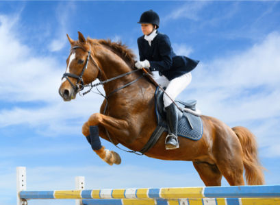 Фотообои жокей в прыжке на лошади (sport-0000061)