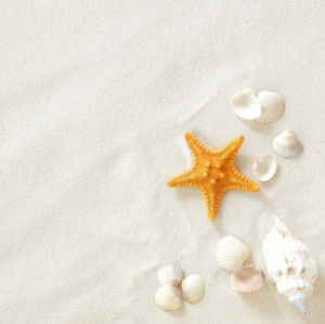 Фотообои ракушки на белом песке (underwater-world-00085)