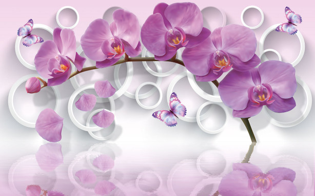 Фотообои Ветка орхидеи (flowers-808)