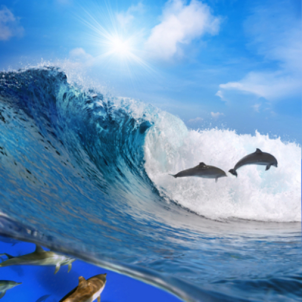 Фотообои фото море волны дельфины (sea-0000062)