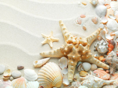 Фотообои ракушки на белом песке (sea-0000110)
