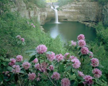Фотообои виды природы горный водопад (nature-00370)