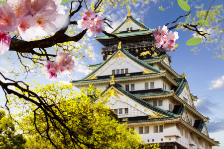 Фотообои Замок Осака и цветы (city-0001411)