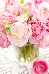 Фотошпалери Чайна троянда на столі (flowers-787)