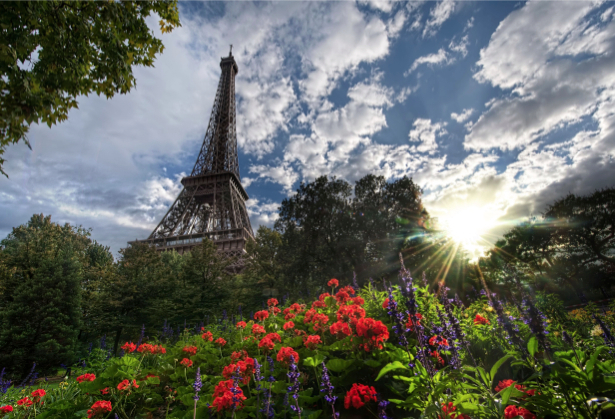 Фотообои Эйфелевая башня, Париж, Франция (city-0000059)