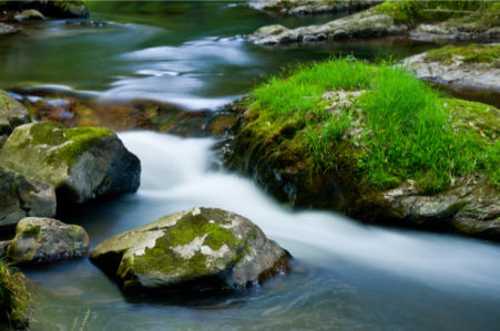 Фотообои трава водопад камни (nature-0000685)