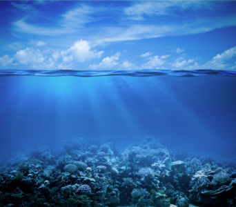 Фотообои море под водой и над водой (sea-0000296)