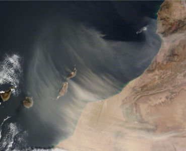 Фотообои 3д пустыня и окиан (terra-00078)