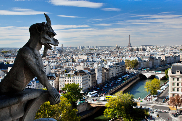 Фотообои Париж вид на город панорама (city-0001281)
