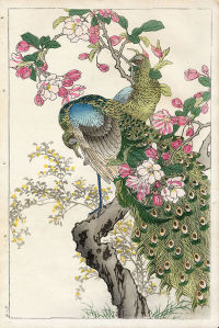 картина графика птицы (japanese-chart-9)
