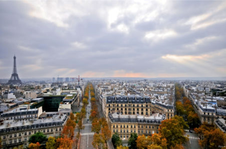 Фотообои  Париж Франция (city-0000679)