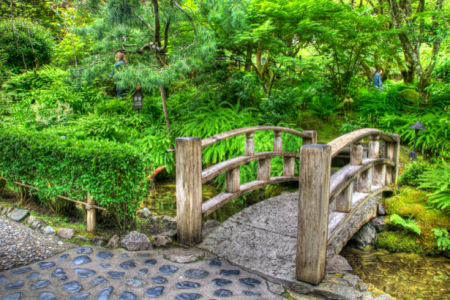 Фотообои с природой мост в парке (nature-00117)