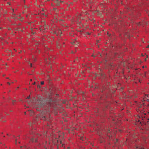 Фотообои на стену красные квадратики (terra-00219)