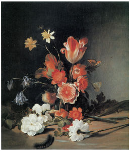 картина натюрморт с цветами (pf-18)