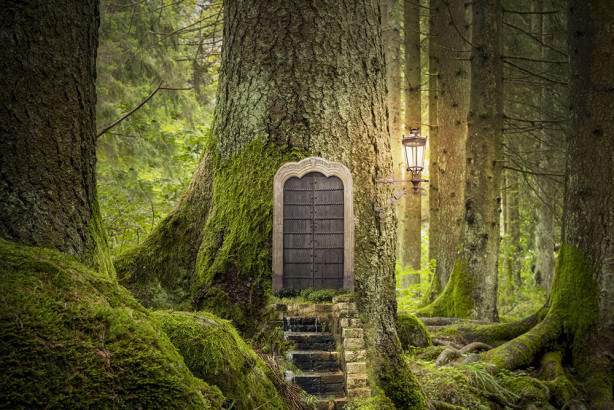 фотообои дверь в лесу (door9)