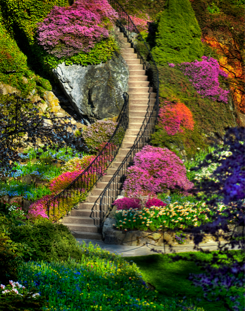 Фотообои лестница в парке в цветах (nature-00402)