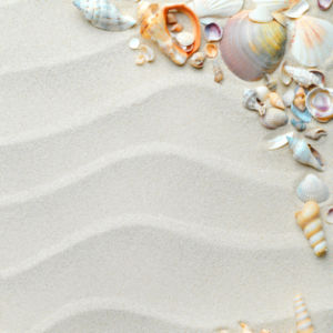 Ракушки на белом песке - Фотообои (sea-0000109)