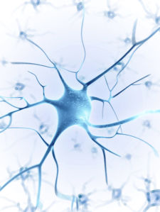 Фотообои нервные клетки (background-0000269)
