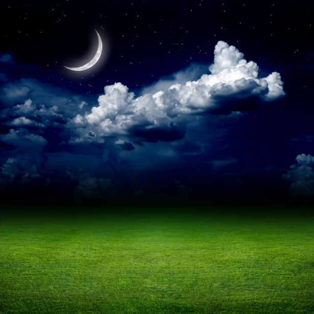 Фотообои месяц в ночном небе поле (sky-0000134)